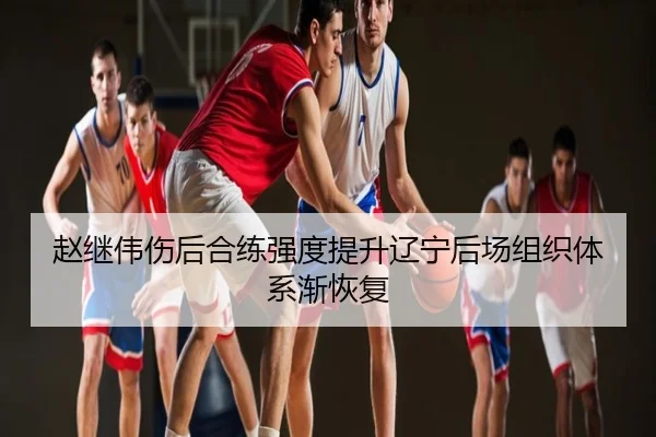 赵继伟伤后合练强度提升辽宁后场组织体系渐恢复
